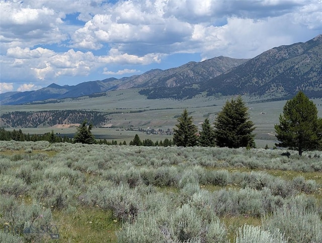Tbd Dutchman Trail, Cameron, MT 59720 - photo 17