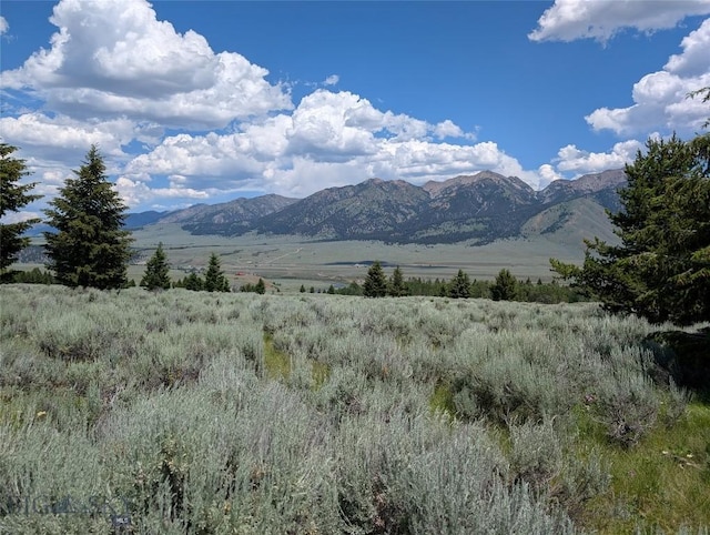 Tbd Dutchman Trail, Cameron, MT 59720 - photo 18