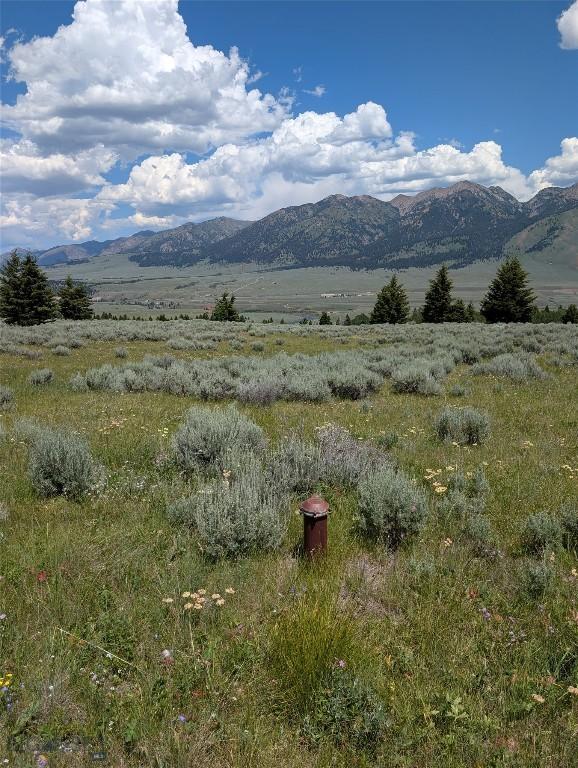 Tbd Dutchman Trail, Cameron, MT 59720 - photo 20