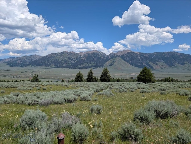 Tbd Dutchman Trail, Cameron, MT 59720 - photo 22