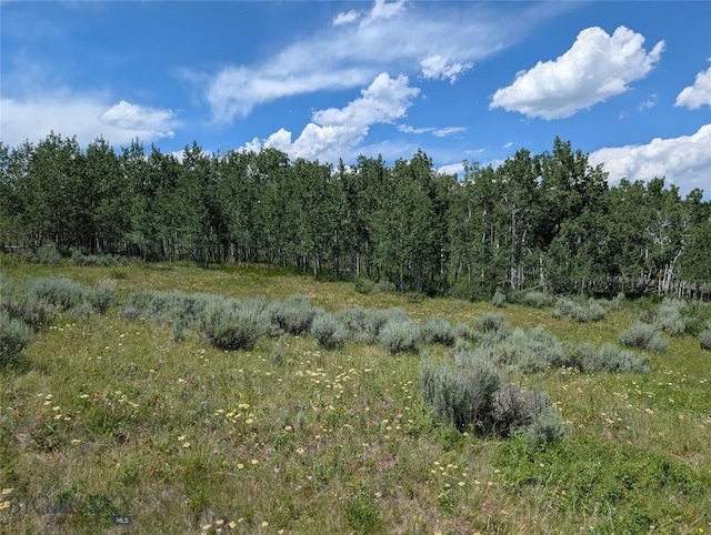 Tbd Dutchman Trail, Cameron, MT 59720 - photo 23