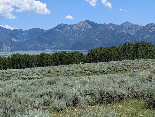 Tbd Dutchman Trail, Cameron, MT 59720 - photo 26