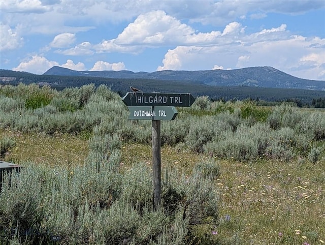 Tbd Dutchman Trail, Cameron, MT 59720 - photo 28