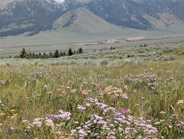 Tbd Dutchman Trail, Cameron, MT 59720 - photo 31