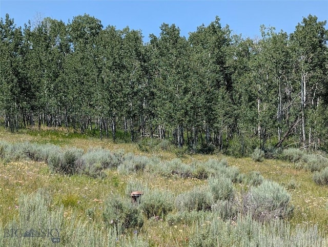 Tbd Dutchman Trail, Cameron, MT 59720 - photo 33