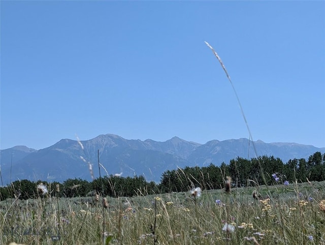 Tbd Dutchman Trail, Cameron, MT 59720 - photo 36