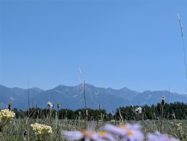 Tbd Dutchman Trail, Cameron, MT 59720 - photo 37