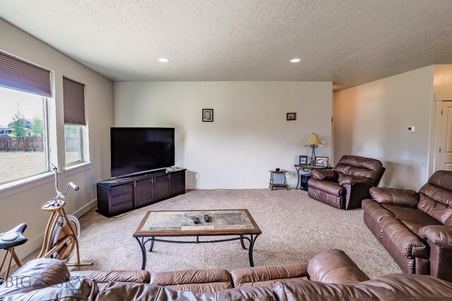 693 Cameron, Bozeman, MT 59718 - photo 8