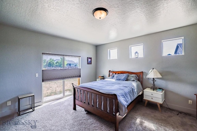693 Cameron, Bozeman, MT 59718 - photo 12