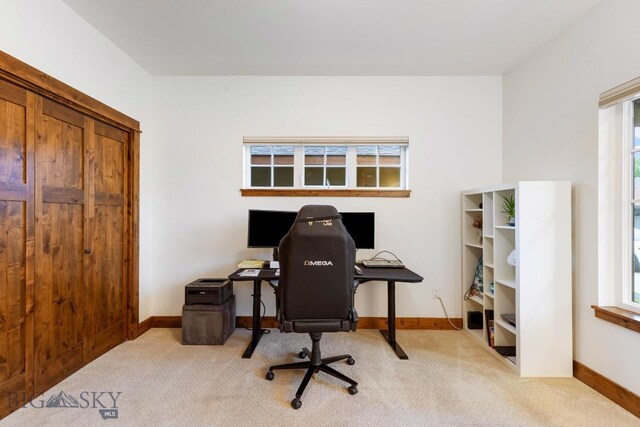 3660 Lolo Way, Bozeman, MT 59718 - photo 46