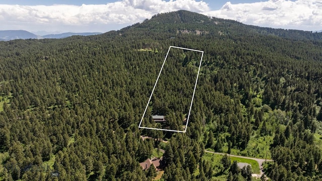 4702 Meadow Ln, Bozeman, MT 59715 - photo 72