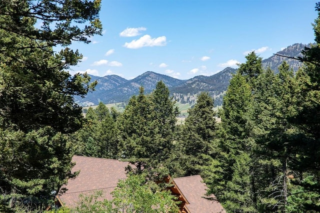 4702 Meadow Ln, Bozeman, MT 59715 - photo 58