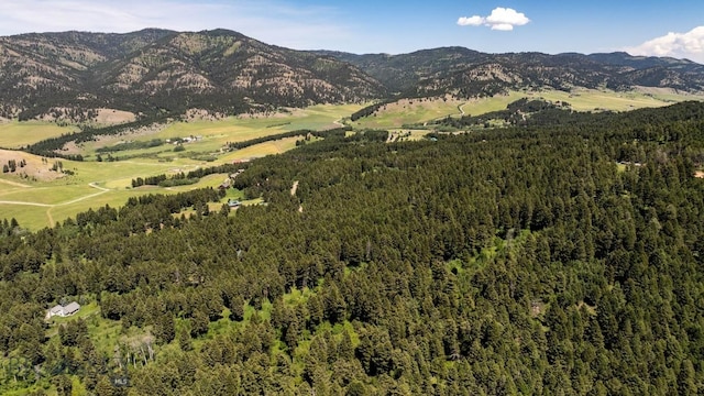 4702 Meadow Ln, Bozeman, MT 59715 - photo 61