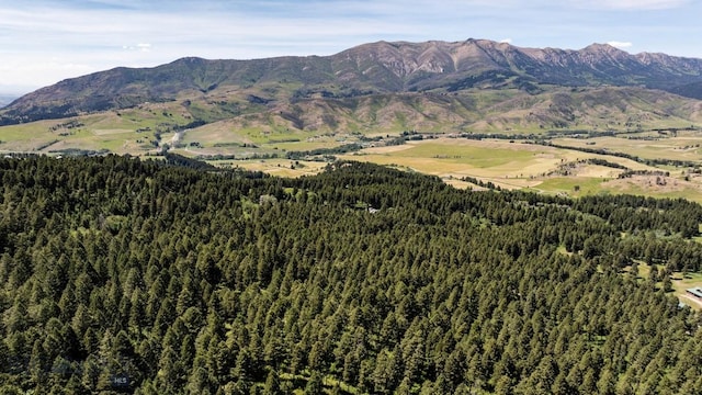 4702 Meadow Ln, Bozeman, MT 59715 - photo 64