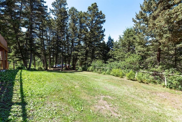 4702 Meadow Ln, Bozeman, MT 59715 - photo 46
