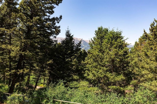 4702 Meadow Ln, Bozeman, MT 59715 - photo 49
