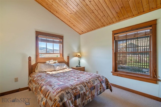 35 Halo Loop, Ennis, MT 59729 - photo 20