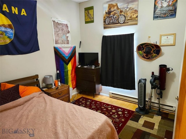 217 W Clark, Livingston, MT 59047 - photo 18