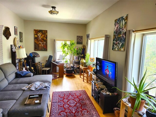 217 W Clark, Livingston, MT 59047 - photo 28