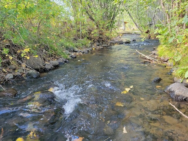 NHN Hyalite Canyon Rd, Bozeman, MT 59715 - photo 14
