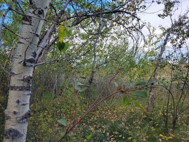 NHN Hyalite Canyon Rd, Bozeman, MT 59715 - photo 7