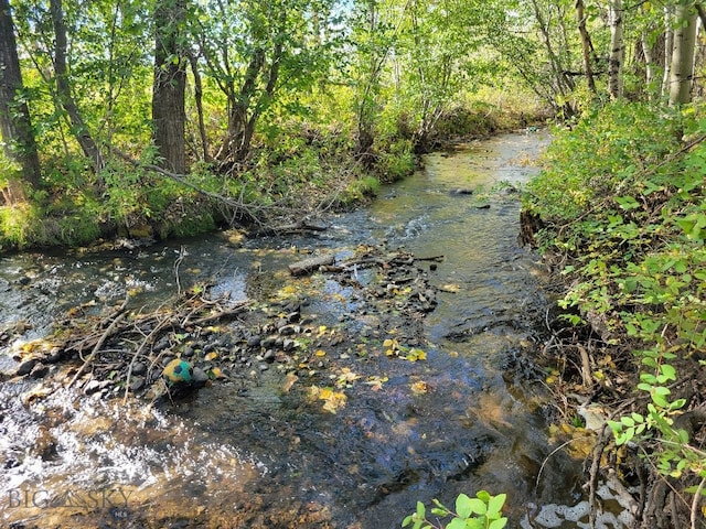 NHN Hyalite Canyon Rd, Bozeman, MT 59715 - photo 13