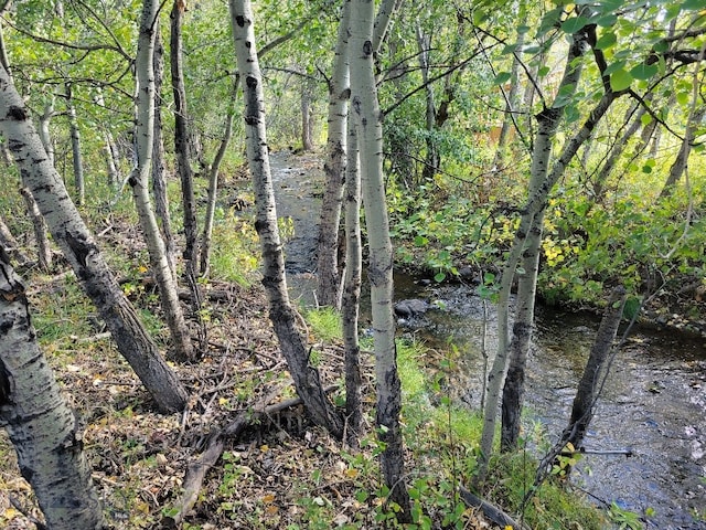 NHN Hyalite Canyon Rd, Bozeman, MT 59715 - photo 17