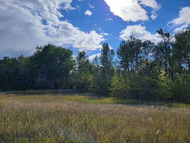 NHN Hyalite Canyon Rd, Bozeman, MT 59715 - photo 22