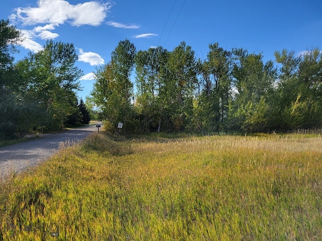 NHN Hyalite Canyon Rd, Bozeman, MT 59715 - photo 24