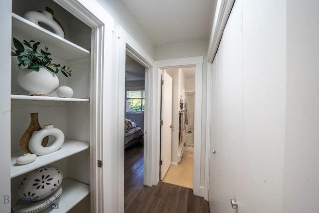1120 W Babcock St Unit 6, Bozeman, MT 59715 - photo 20