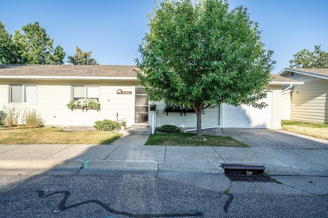 1120 W Babcock St Unit 6, Bozeman, MT 59715 - photo 4