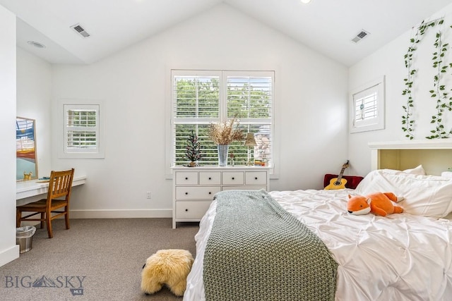 225 Mathew Bird, Bozeman, MT 59715 - photo 40