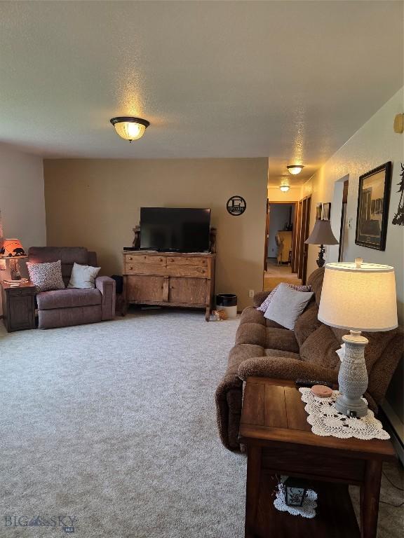 108 Buffalo Dr, Dillon, MT 59725 - photo 6