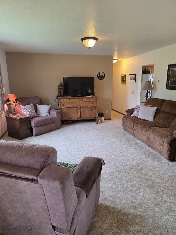 108 Buffalo Dr, Dillon, MT 59725 - photo 7