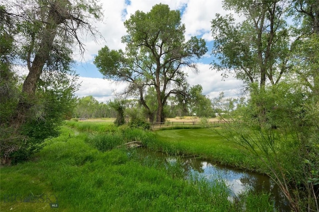 2490 E Cedar Meadows Ln, Manhattan, MT 59741 - photo 5