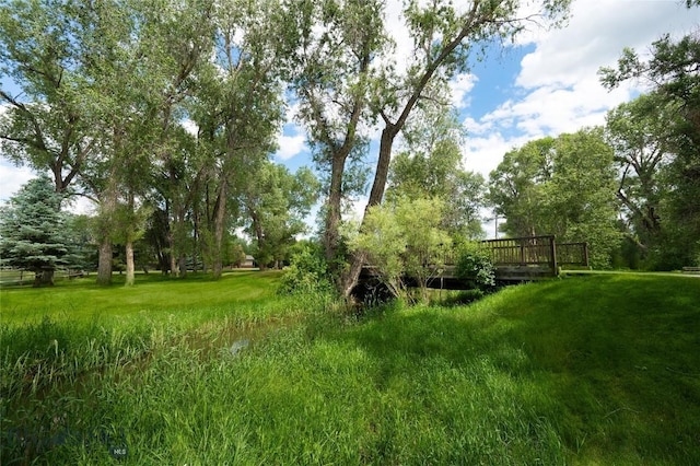2490 E Cedar Meadows Ln, Manhattan, MT 59741 - photo 6