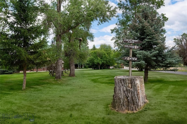 2490 E Cedar Meadows Ln, Manhattan, MT 59741 - photo 7