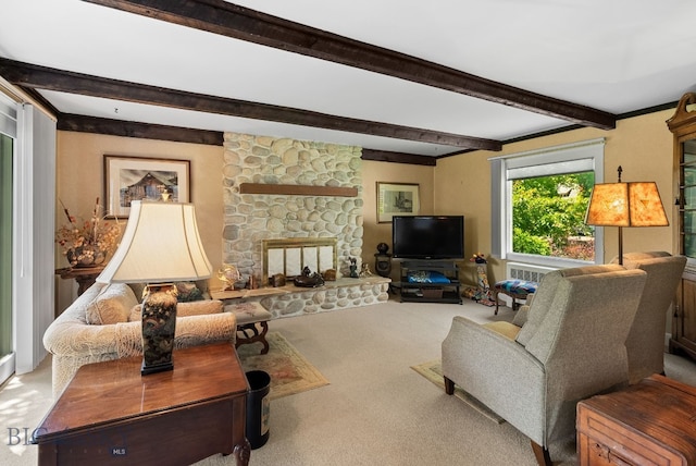 604 S Willson Ave, Bozeman, MT 59715 - photo 31