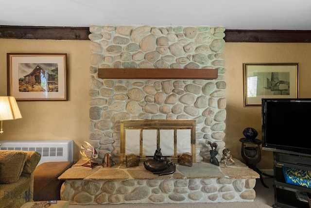 604 S Willson Ave, Bozeman, MT 59715 - photo 32