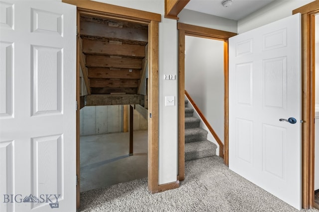 1209 Ridgeview Trl, Livingston, MT 59047 - photo 37