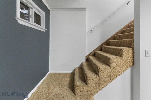 118 S 15th Ave Unit 3, Bozeman, MT 59715 - photo 22