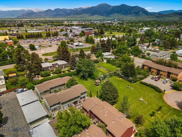 118 S 15th Ave Unit 3, Bozeman, MT 59715 - photo 29