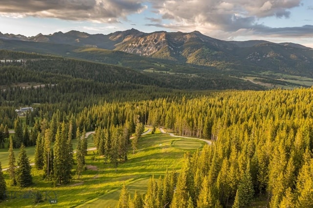 TBD Bitterbrush Rd, Big Sky, MT 59716 - photo 1