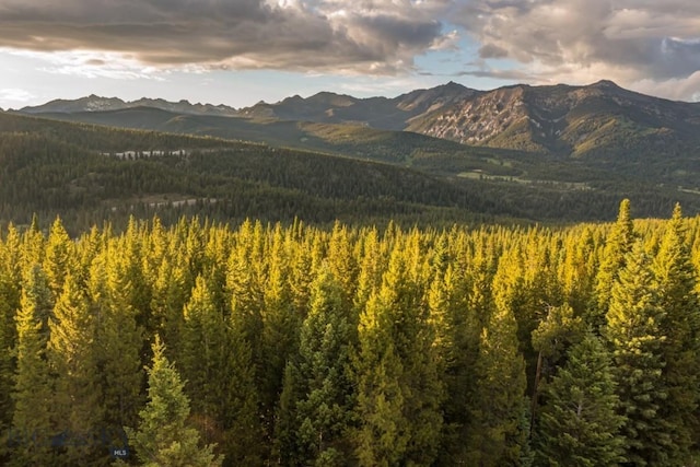 TBD Bitterbrush Rd, Big Sky, MT 59716 - photo 4