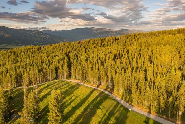 TBD Bitterbrush Rd, Big Sky, MT 59716 - photo 5