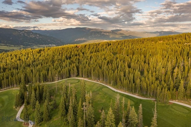 TBD Bitterbrush Rd, Big Sky, MT 59716 - photo 6