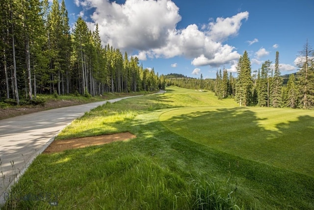 TBD Bitterbrush Rd, Big Sky, MT 59716 - photo 7