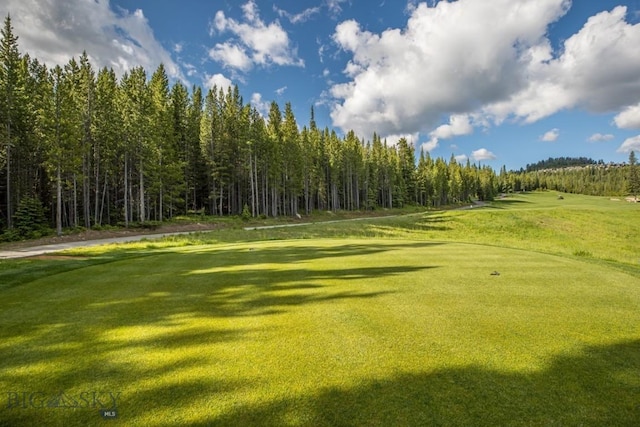 TBD Bitterbrush Rd, Big Sky, MT 59716 - photo 8