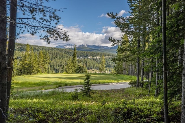 TBD Bitterbrush Rd, Big Sky, MT 59716 - photo 10