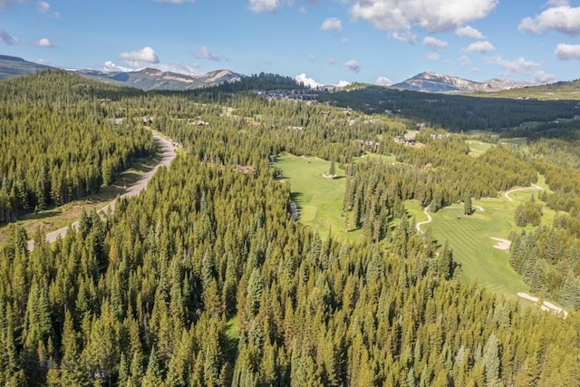 TBD Bitterbrush Rd, Big Sky, MT 59716 - photo 16